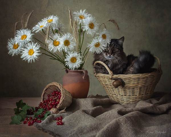 Корзинкин