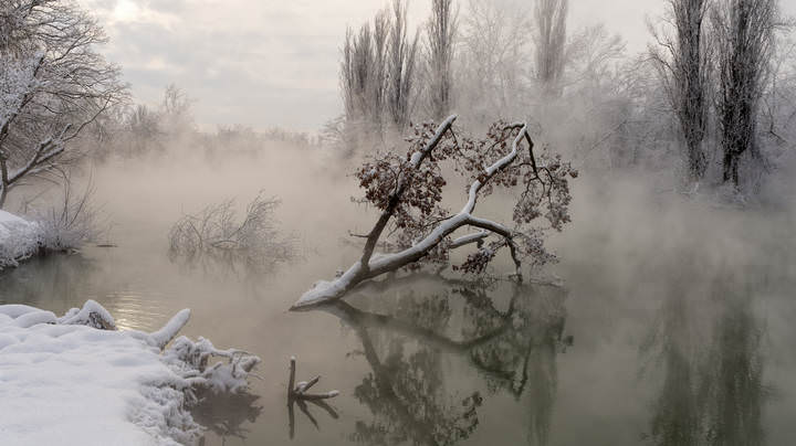 Туман над водой 