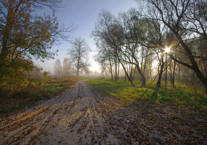 В осеннее утро