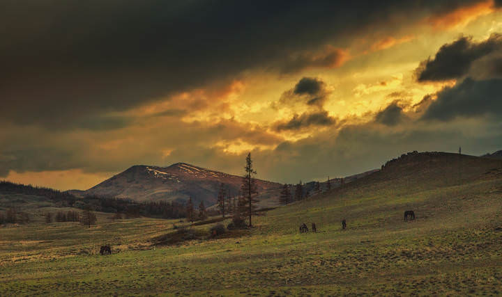 Режимное над Кураем
