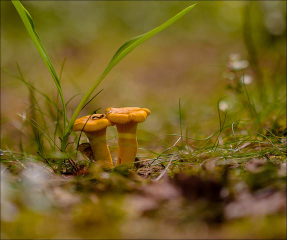 # 5