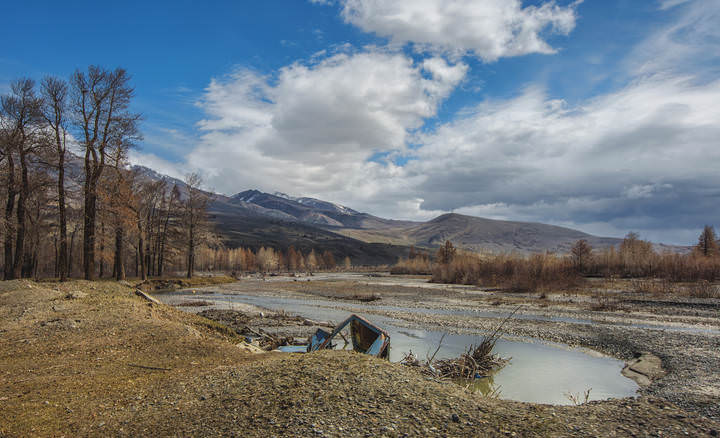 Алтайские будни
