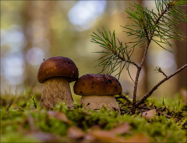 Притаились) 