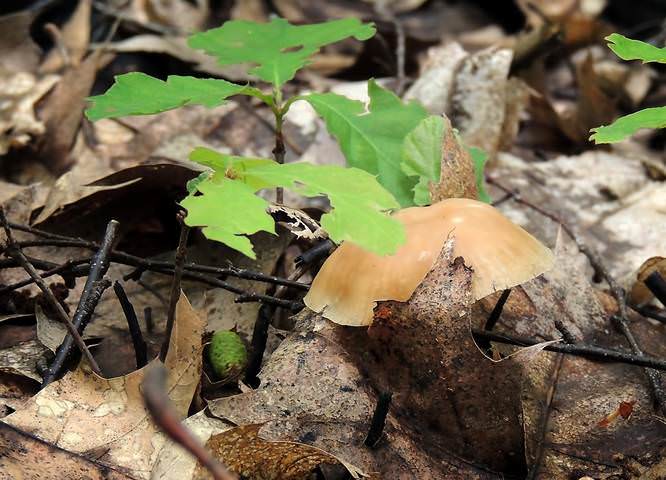 # 4
