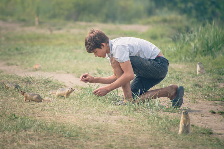 в окруженье