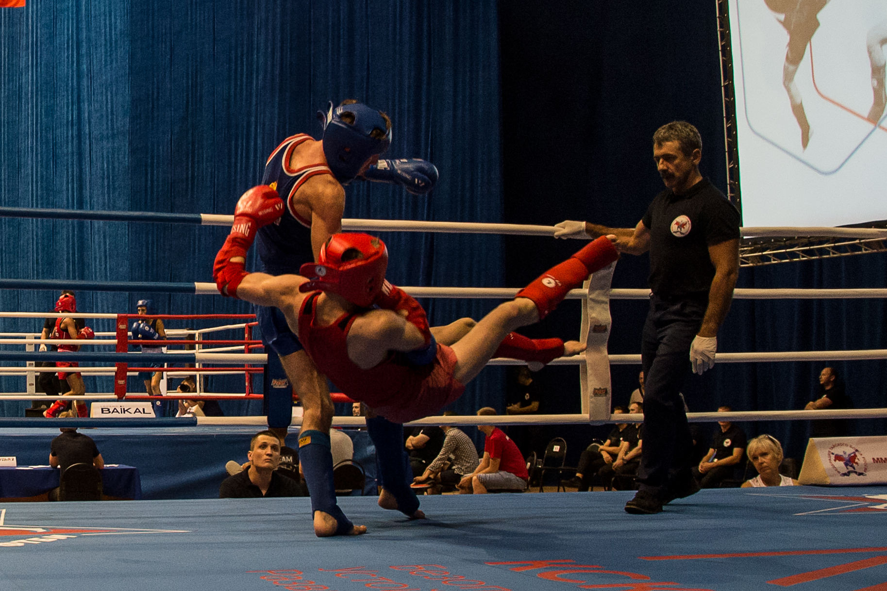 Чемпионат России по Тайскому боксу 2016