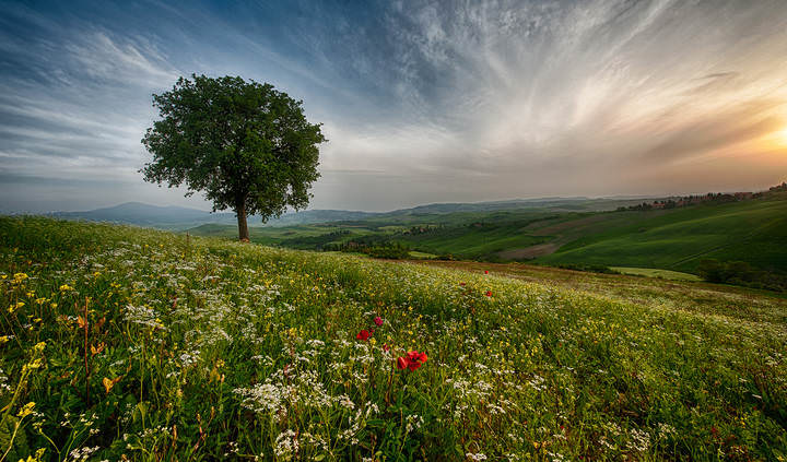 Тосканские мотивы