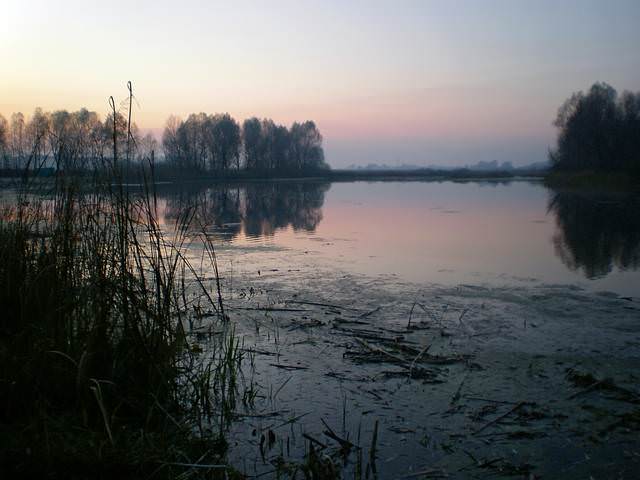 Серия "Солнце встает" 