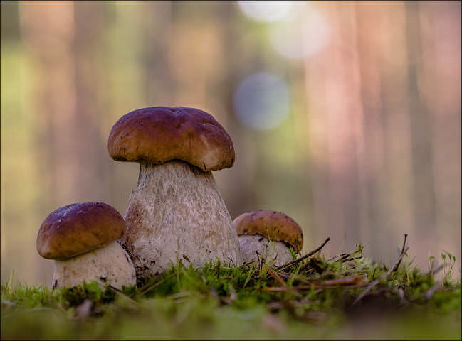 На прогулке)