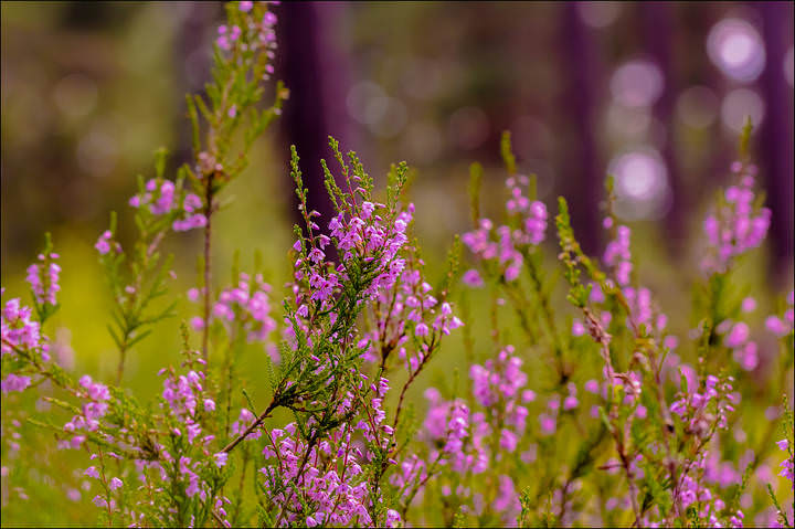 # 2