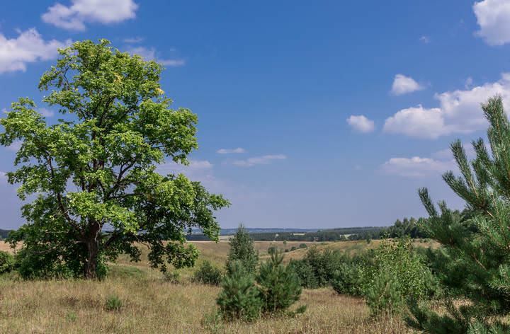 Полдень