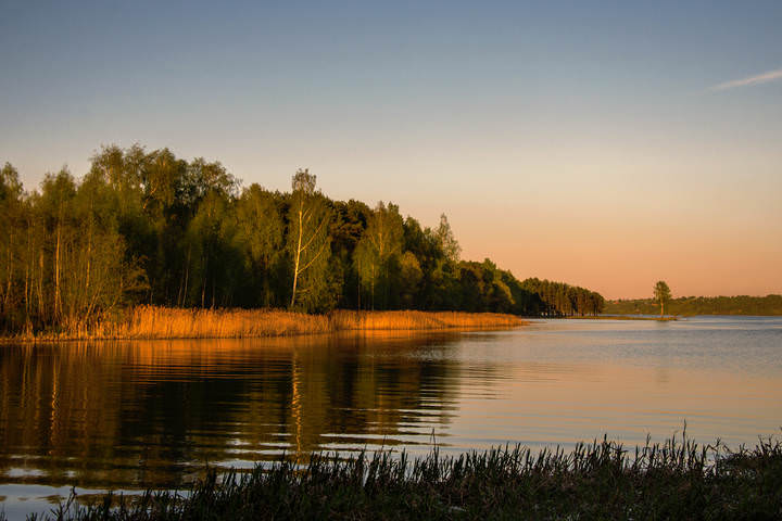 Мерешка