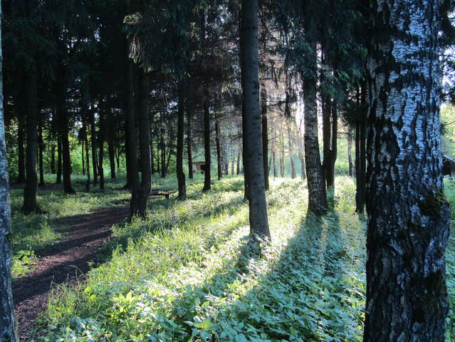 В парке