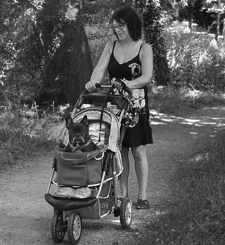 Walking with the dog.