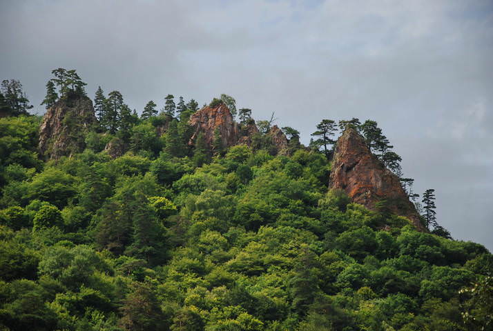 Гребень