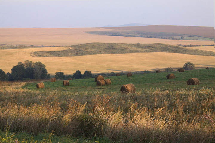 Растеряла бабушка клубочки
