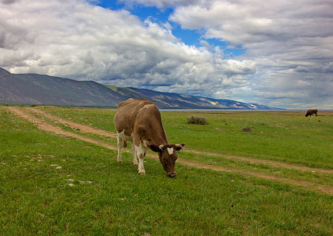 Байкальская пастораль