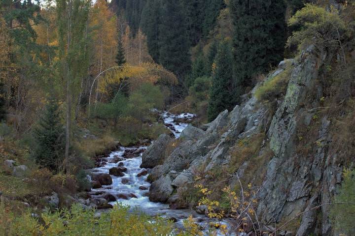 Завтра осень.