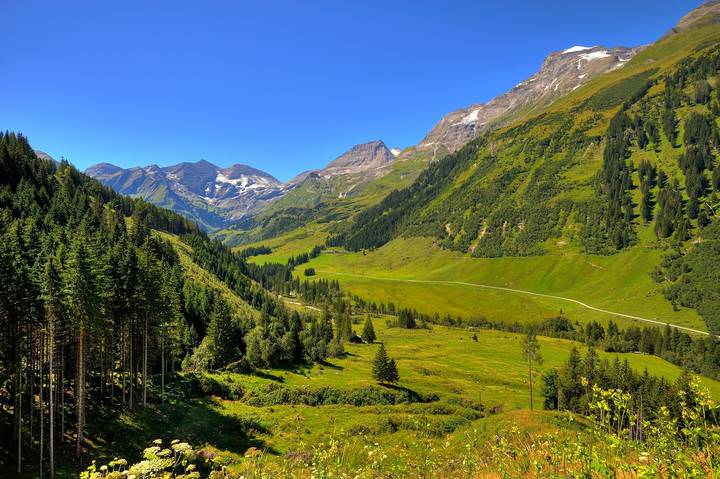 Альпы.