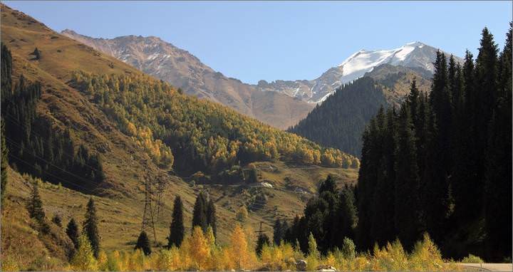 Осень старается.