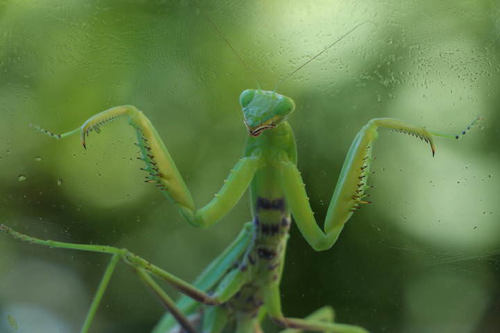 Hello!