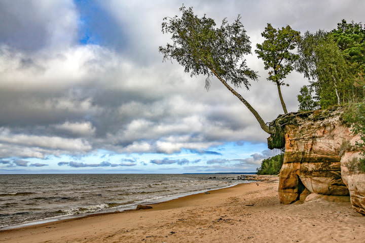 Vidzeme seashore 080916 1
