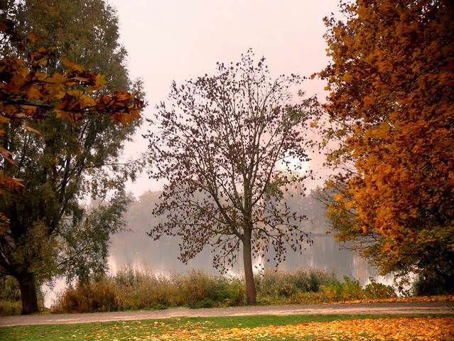 берега