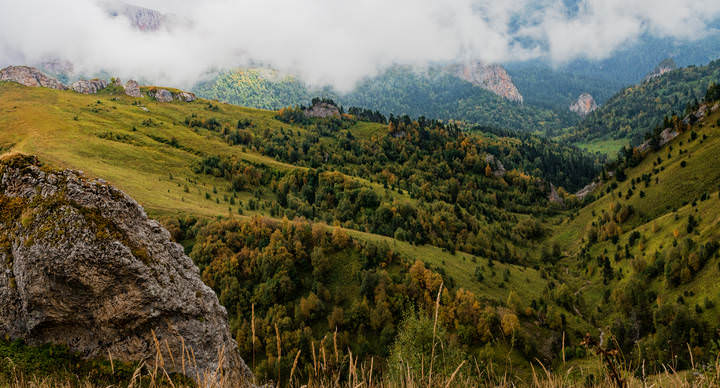 Шаги осени