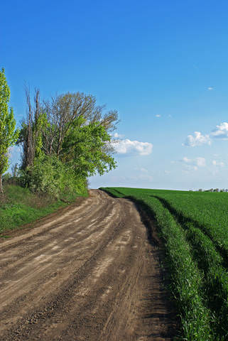 дорога 