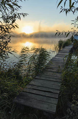 В утреннем тумане...