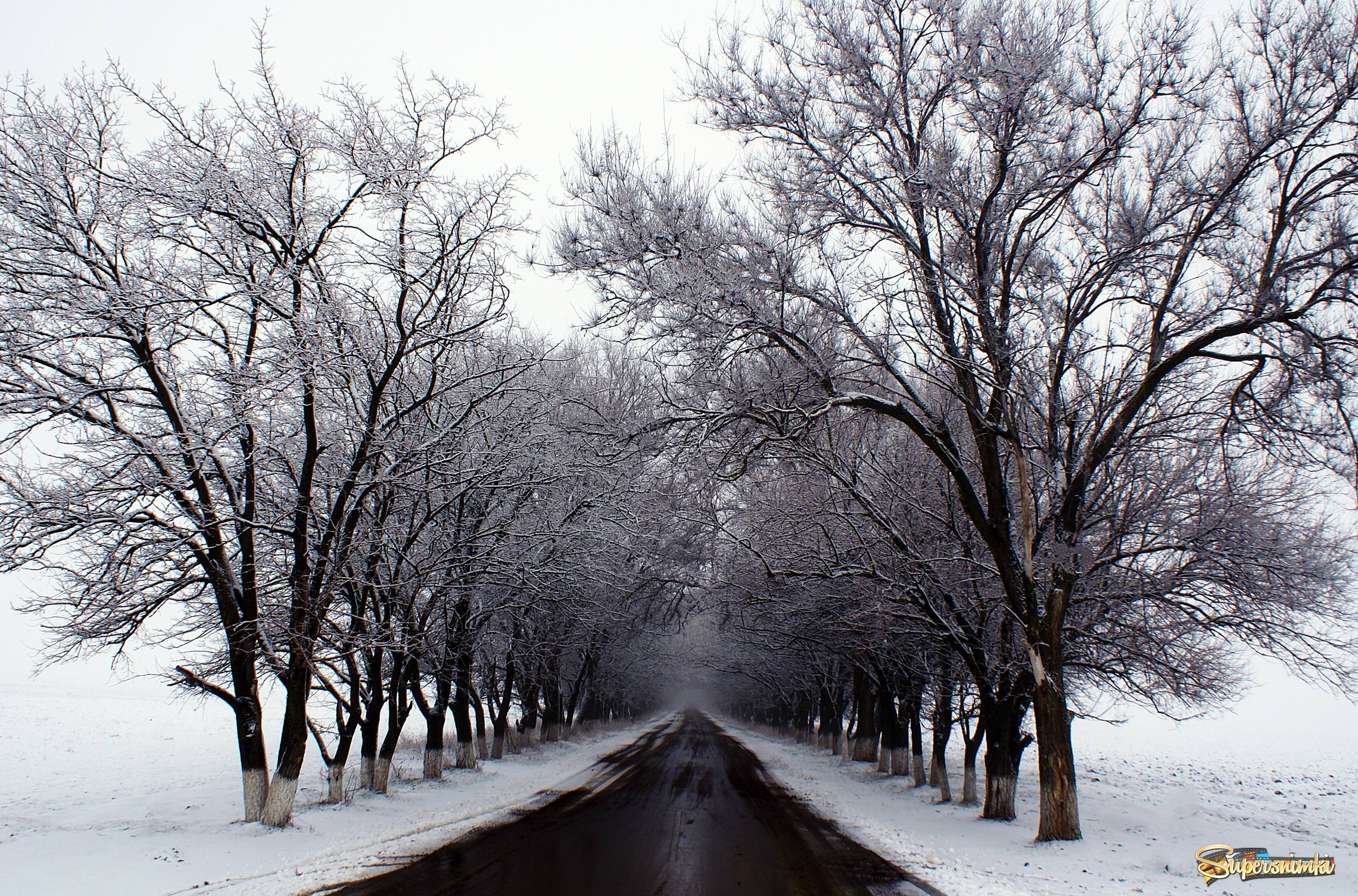 дорога в зиму