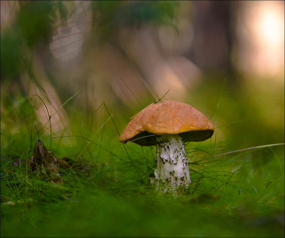 # 2