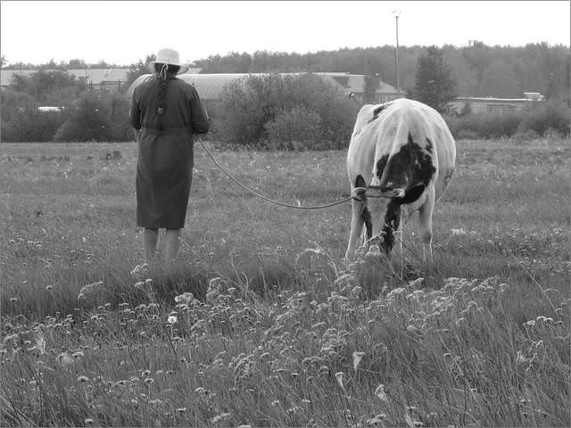 хвост на лево, хвост на право