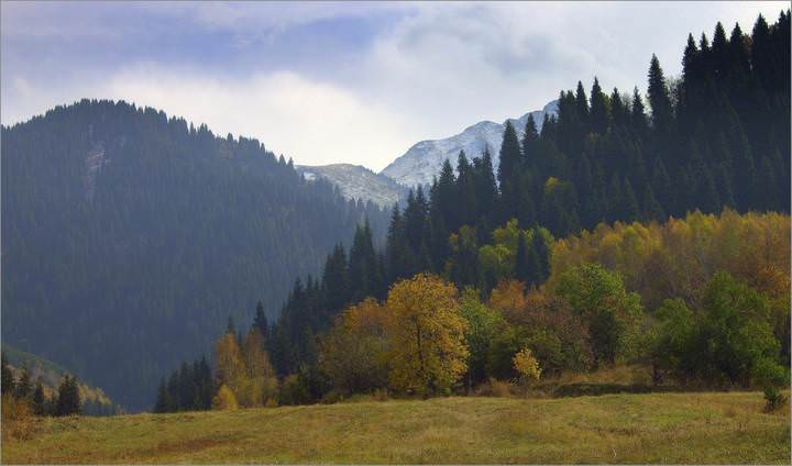 Талгарское ущелье.
