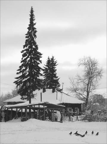 бамон