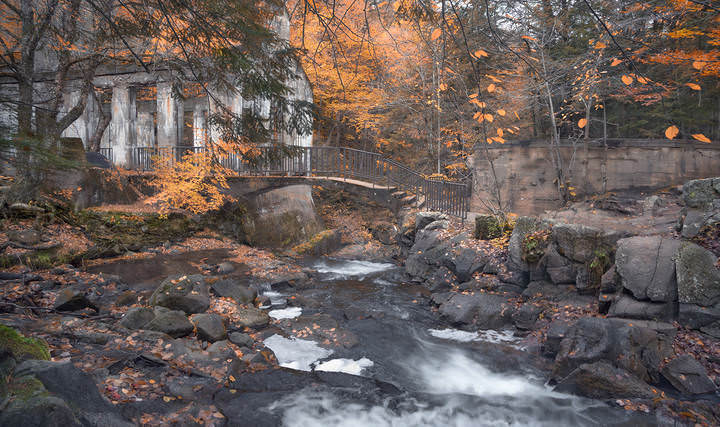 Transparent Autumn