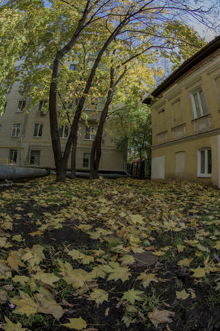 Осень на дворе.