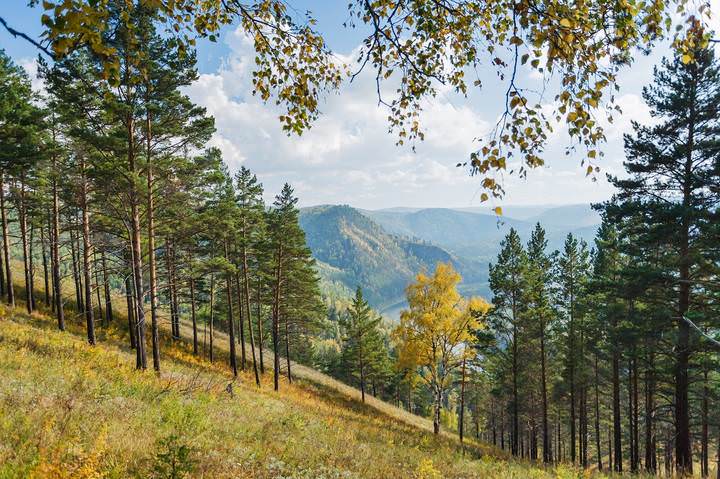 В одиночестве осенней
