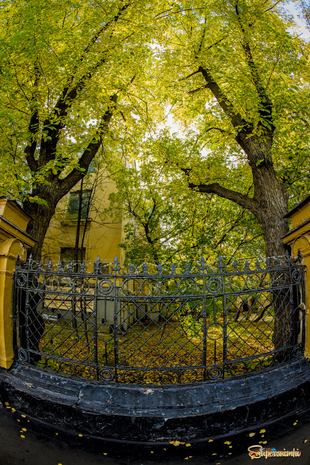 Осенняя ограда
