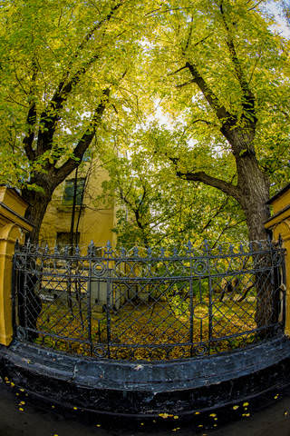 Осенняя ограда