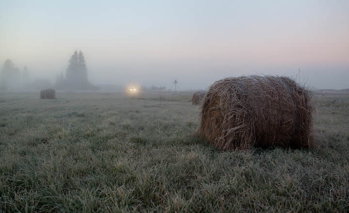 Морозное утро