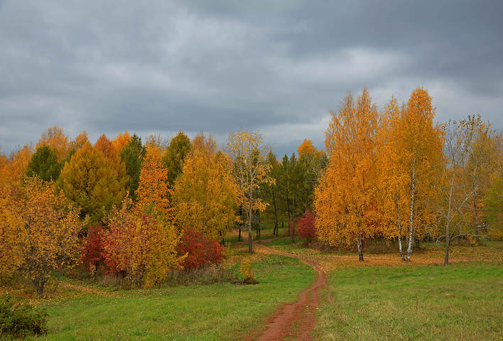 Осенний мотив