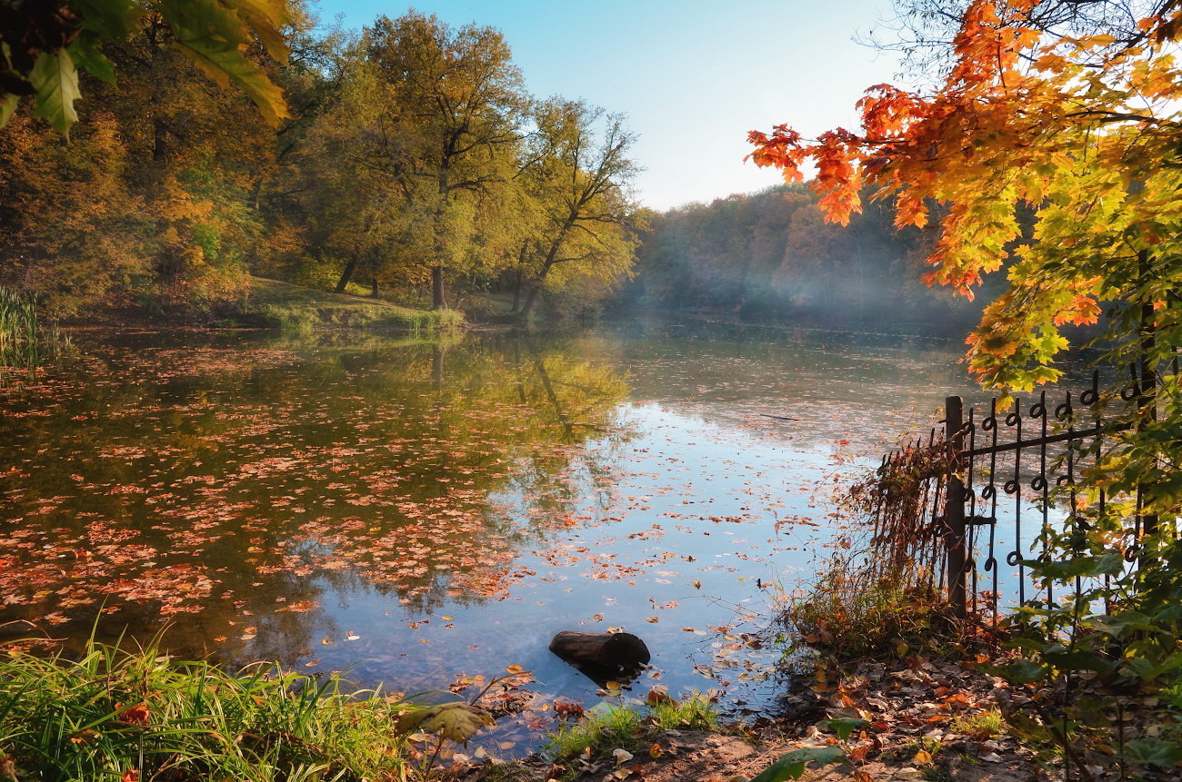 Осень в Платоновском парке