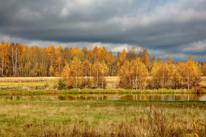 Очей очарованье 