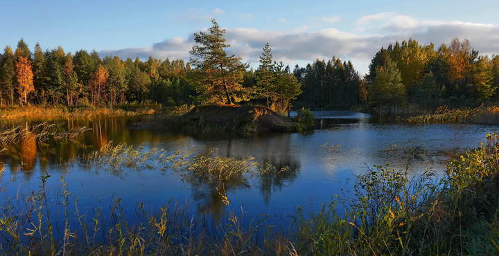 Осенняя палитра