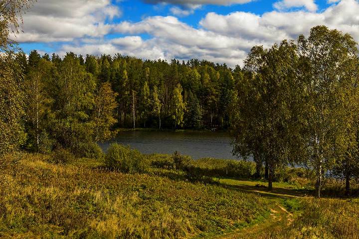 К воде