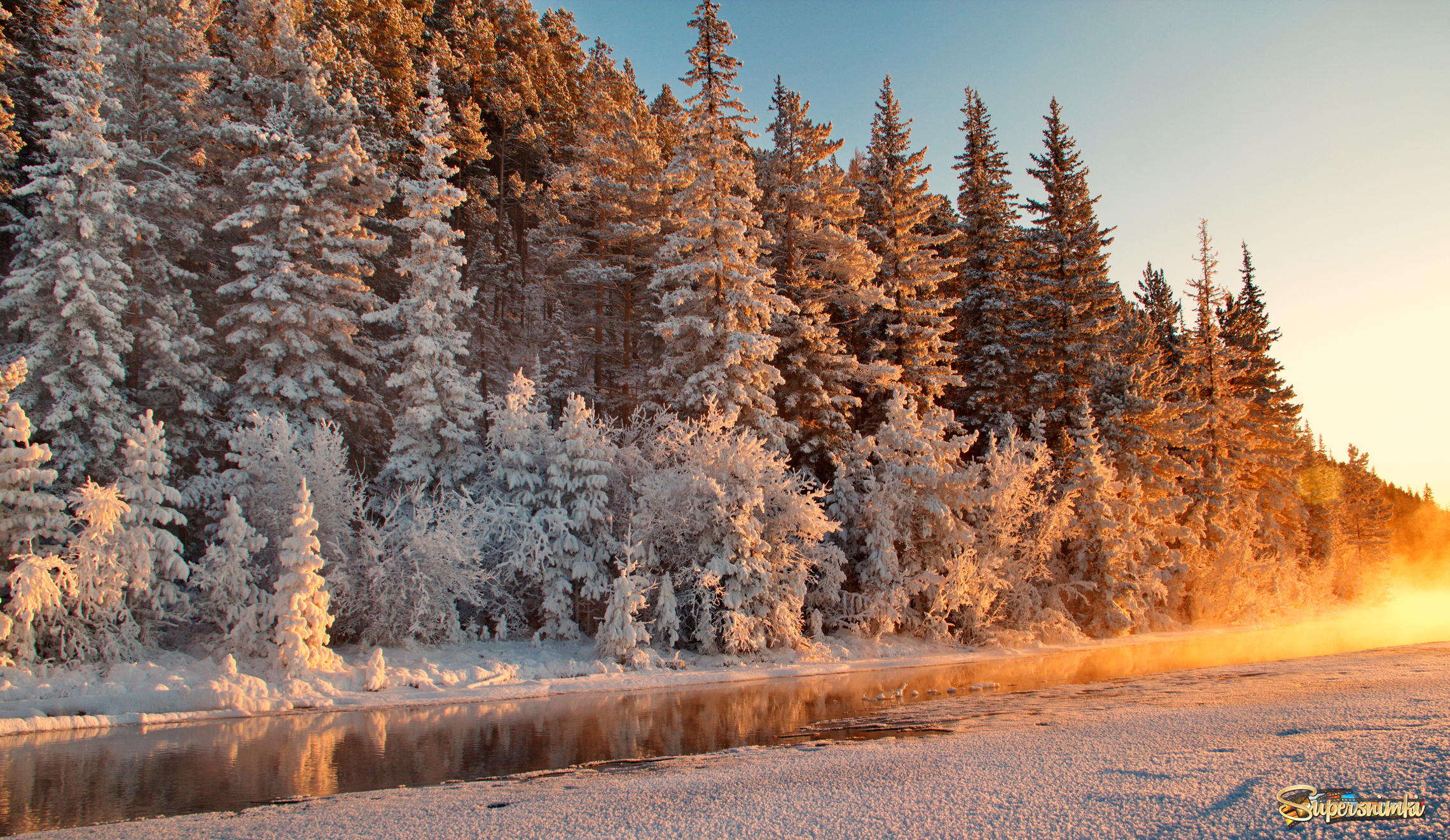 Зимняя температура в тайге. Сибирский лес Сибирская Тайга зима. Сибирь зимой. Природа Сибири зимой. Зимний лес.