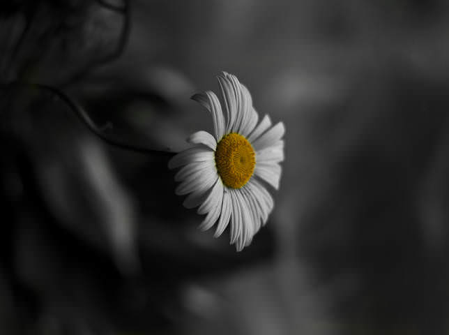 5802809fe2cfda76860f1dc5
