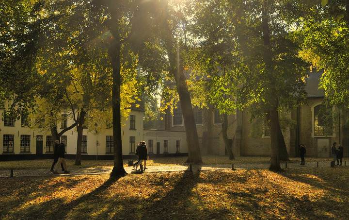Autumn in Bruges.