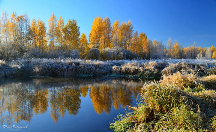 Золотая осень